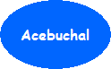 Acebuchal in Andalusien